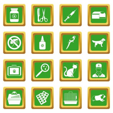 Yeşil veteriner Icons set