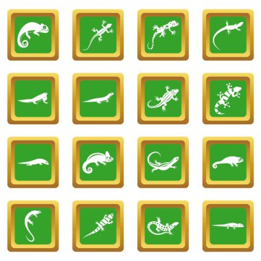 Yeşil kertenkele Icons set