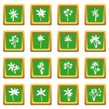 Yeşil palmiye ağacı Icons set