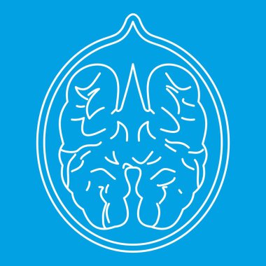 Ceviz simgesi, anahat stili