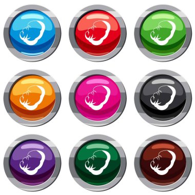 Dalak 9 koleksiyonu ayarla