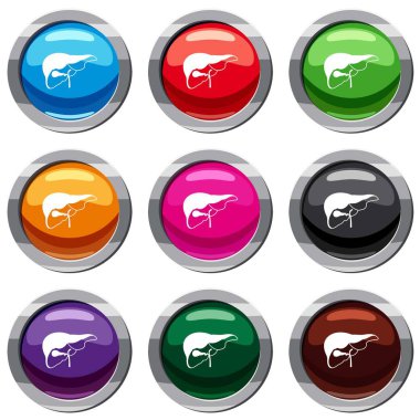 Karaciğer 9 koleksiyonu ayarla