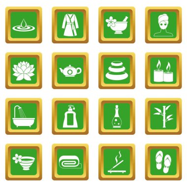 Yeşil spa tedavileri Icons set