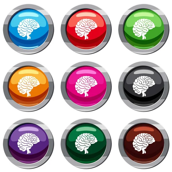 Brain set 9 collection — Stock Vector