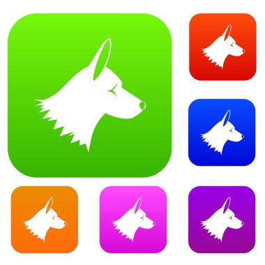 Collie köpek koleksiyonu ayarla