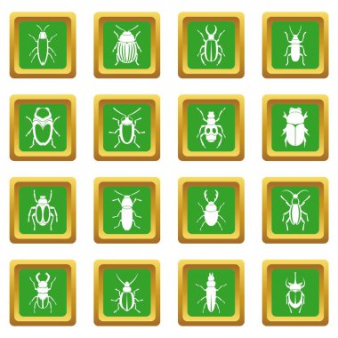Yeşil böcek Icons set