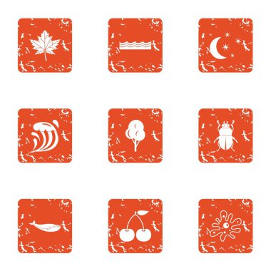 Özü simgeler kümesi, grunge tarzı