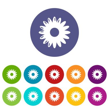 Bal çiçek simgeler kümesi vektör renk