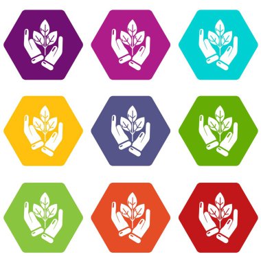 9 vektör el filiz Icons set