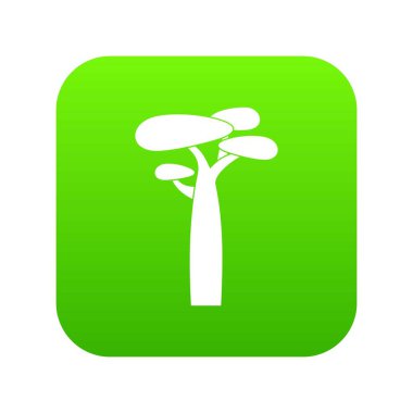Baobab yeşil simge vektör