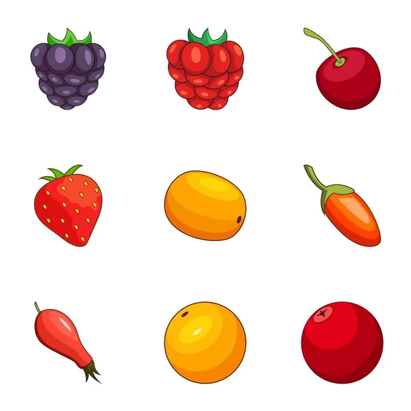 Ensemble d'icônes de champ Berry, style dessin animé — Image vectorielle