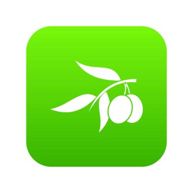 İki zeytinli simgesi dijital yeşil zeytin ağacı dalı