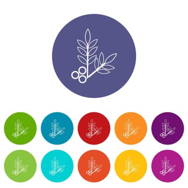 Spa Eko simgeler kümesi vektör renk yapraklar