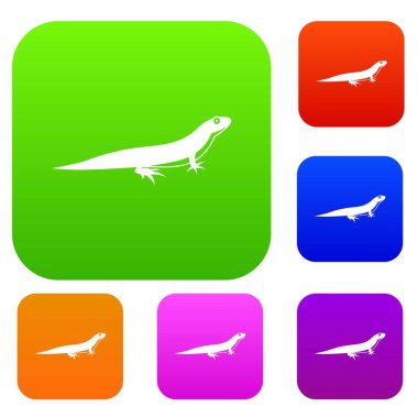 Kertenkele koleksiyonu ayarla