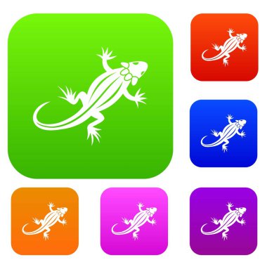 Kertenkele koleksiyonu ayarla