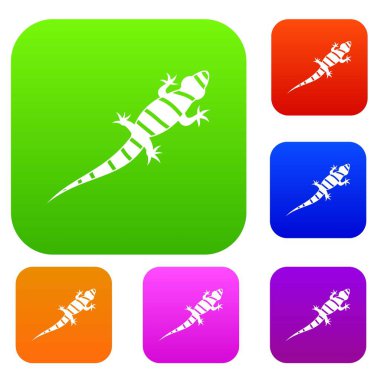 Kertenkele koleksiyonu ayarla