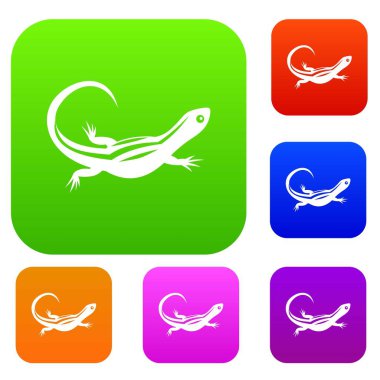 Kertenkele koleksiyonu ayarla