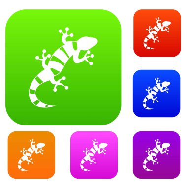 Kertenkele koleksiyonu ayarla