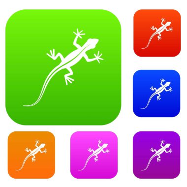 Kertenkele koleksiyonu ayarla