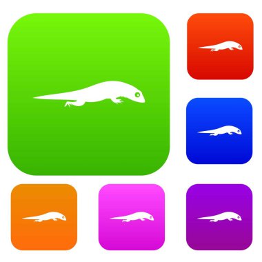 Kertenkele koleksiyonu ayarla