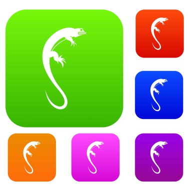 Kertenkele koleksiyonu ayarla