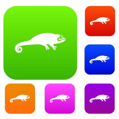 Bukalemun koleksiyonu ayarla