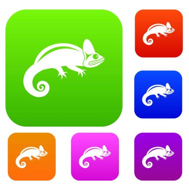 Bukalemun koleksiyonu ayarla