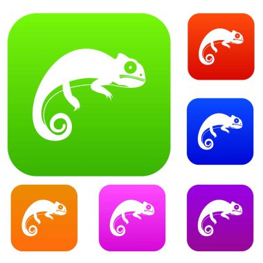 Bukalemun koleksiyonu ayarla