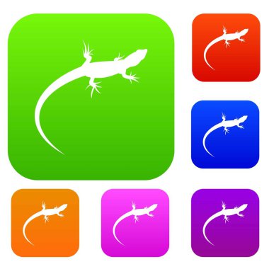 Kertenkele koleksiyonu ayarla