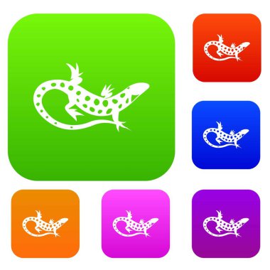 Kertenkele koleksiyonu ayarla