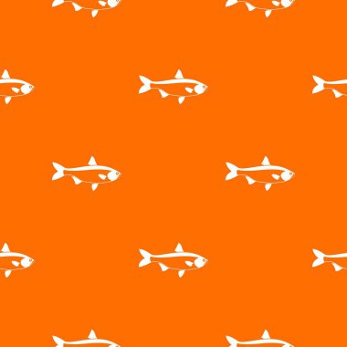 Balık model sorunsuz