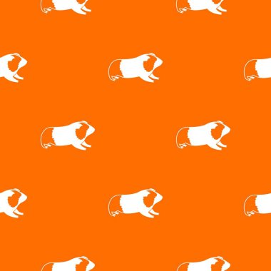 Hamster desen sorunsuz