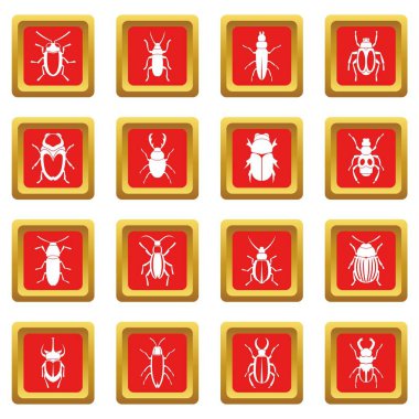 Kırmızı böcek Icons set