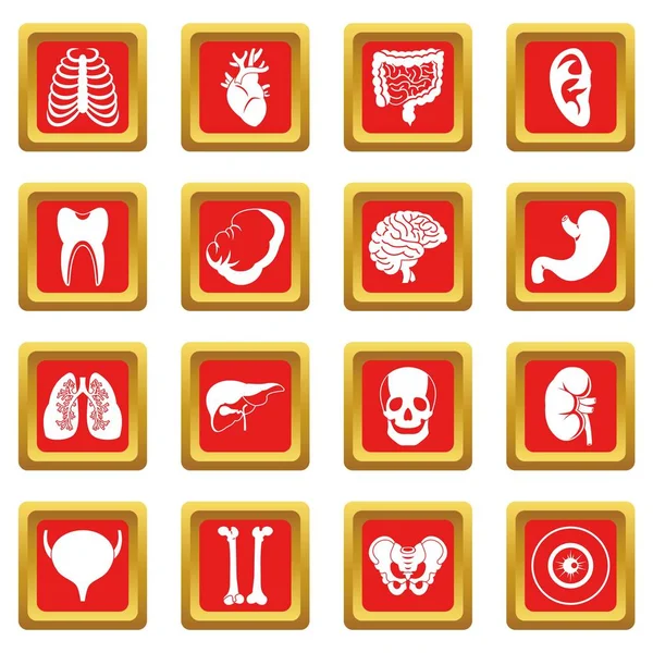 Conjunto de iconos de órganos humanos rojo — Vector de stock