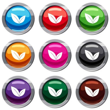 Yaprak 9 koleksiyonu ayarla