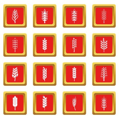 Kırmızı kulak Mısır Icons set