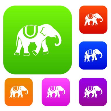 Koleksiyon küme fil