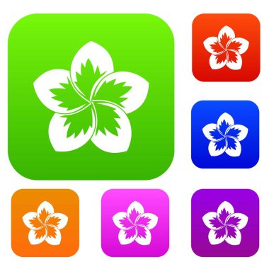 Frangipani çiçek koleksiyonu ayarla