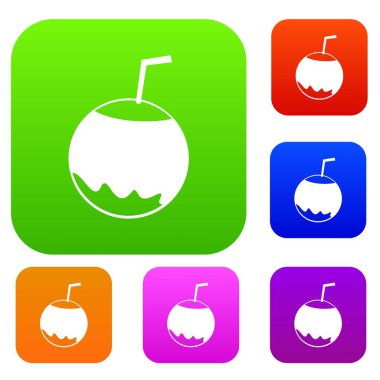 Saman ile Hindistan cevizi koleksiyonu ayarla