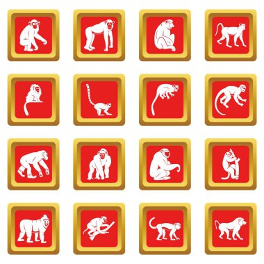 Kırmızı maymun türleri Icons set
