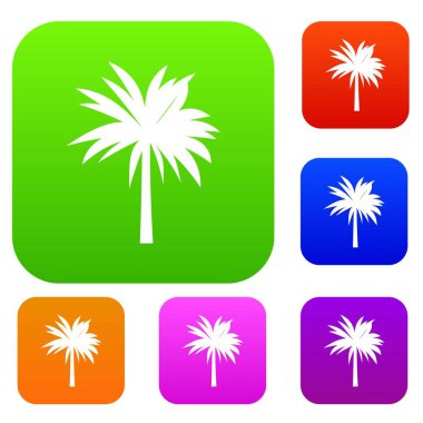 Palm koleksiyonu ayarla