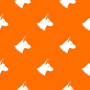 Collie köpek desen sorunsuz