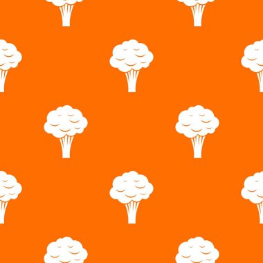 Brokoli model sorunsuz