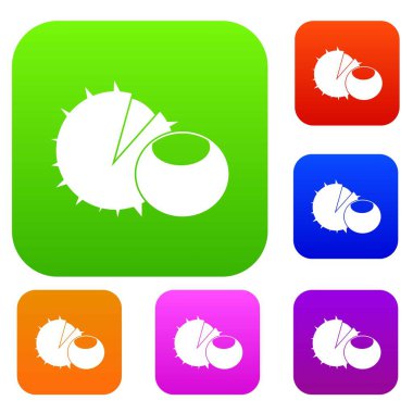 Fındık toplama kümesi