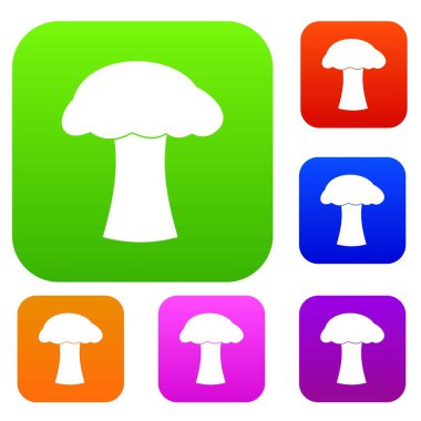 Mantar toplama kümesi