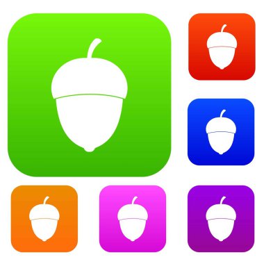 Meşe palamudu koleksiyonu ayarla