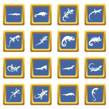 Kertenkele simgeleri mavi ayarla