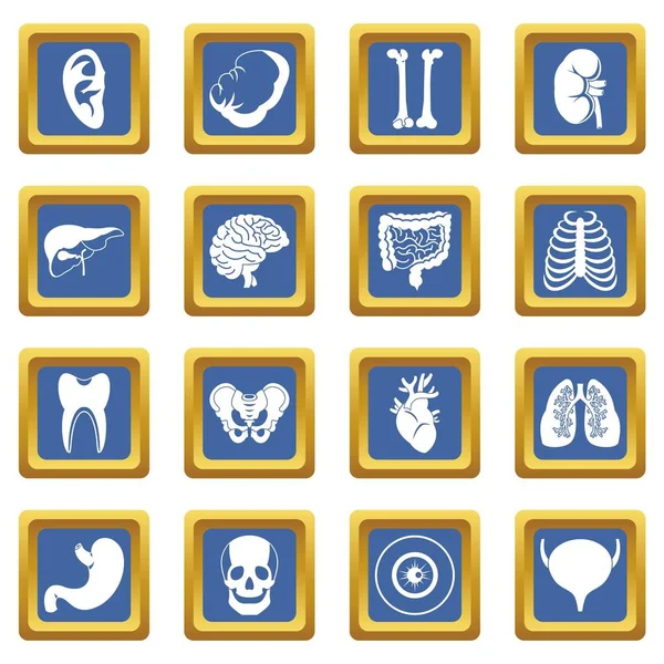 Conjunto de iconos de órganos humanos azul — Vector de stock