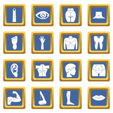 Vücut parçaları simgeleri mavi ayarla