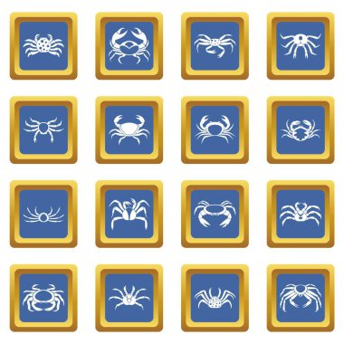 Yengeç ilahları mavi ayarla